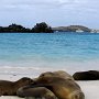 Galapagos - Sea Lions on beach